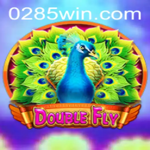 DoubleFly: A New Gaming Adventure Awaits
